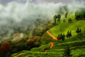 cheap foreign tour packages from India