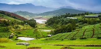 Best ooty Travel Package in Chennai